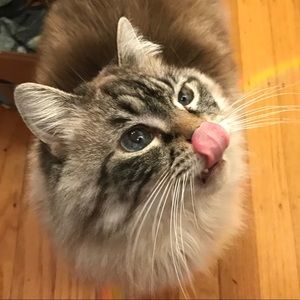 Meet your Posher, Amber